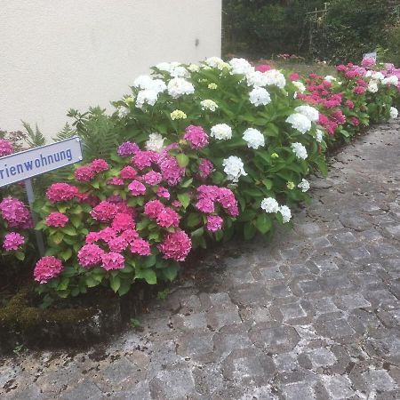 Ferienwohnung Sponheim Traben-Trarbach Exteriör bild